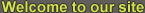 Transportation Company